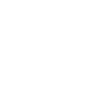 Premium Internships